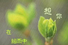 雨中很適合靜靜的想你的句子