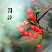 關于因緣的禪語20句（二）