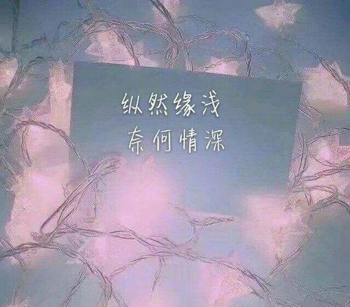 對人世失望的句子