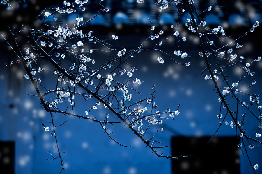 總下雨心煩的句子