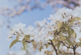 考試考好了開心的句子 考完試的心情的句子