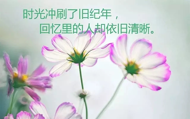 努力學習積極向上的座佑銘