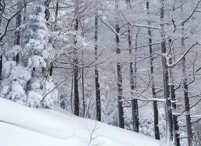 下雪時發朋友圈的好句 文案