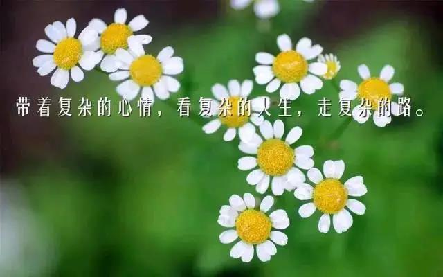 正能量的句子經(jīng)典語句工作激勵(lì)