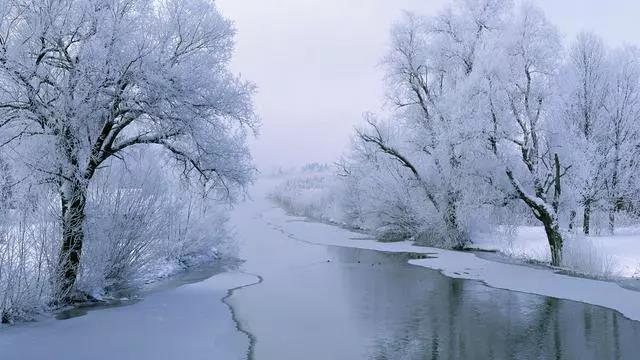 大雪節(jié)氣的句子