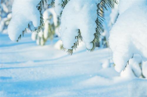 關于下雪很開心的句子