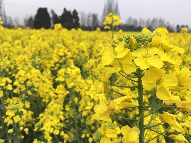 天氣轉暖周末問候短信