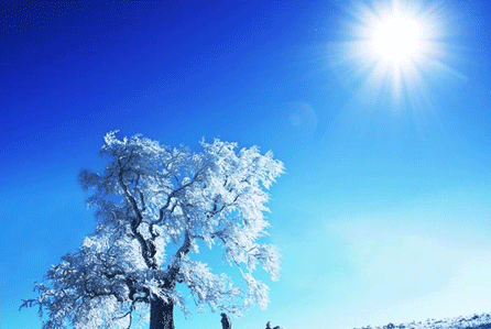 適合冬天和下雪時發的唯美句子