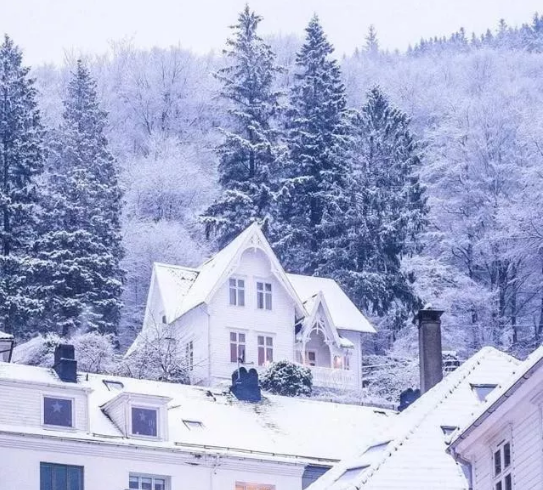 形容下雪心情美好的句子