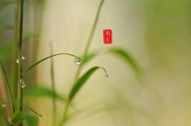 關(guān)于雨水節(jié)氣的句子