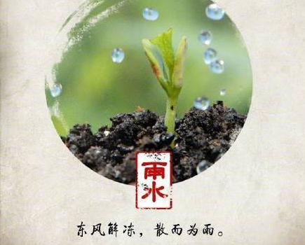 雨水節(jié)氣圖片帶字唯美