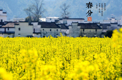 春分的微信祝福語(yǔ)精選