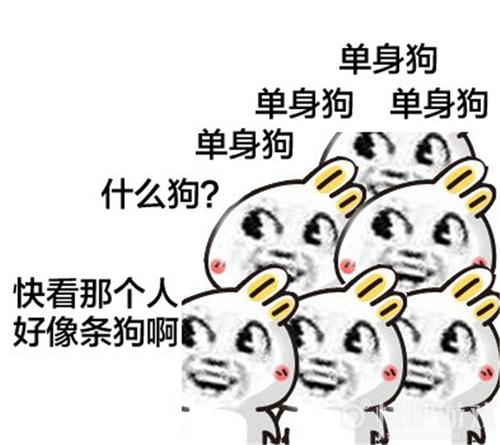 單身狗的情人節句子說說