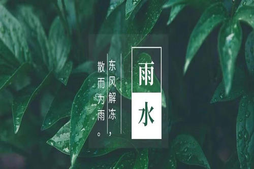 雨水節(jié)氣祝福語集錦