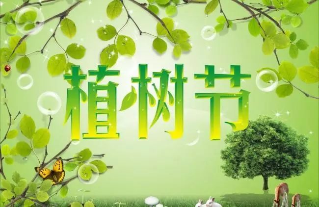 植樹節的宣傳標語20字