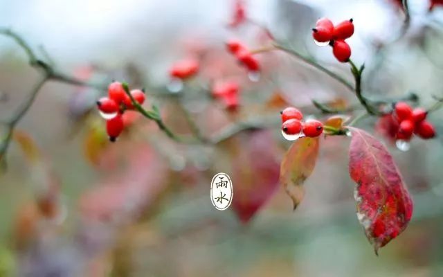 雨水節(jié)氣發(fā)朋友圈說說