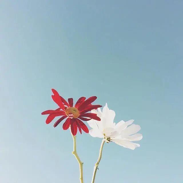 下雨開車的說說發朋友圈