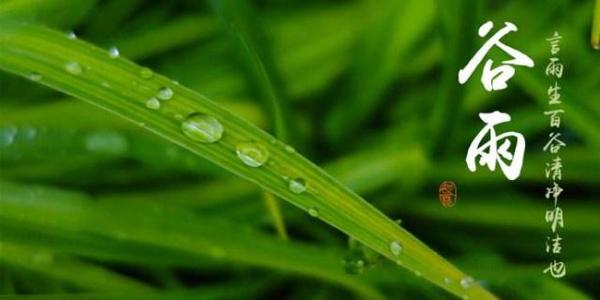 谷雨節(jié)氣祝福語大全簡短一句話