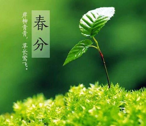 3月20日春分節(jié)氣 祝福春分的句子