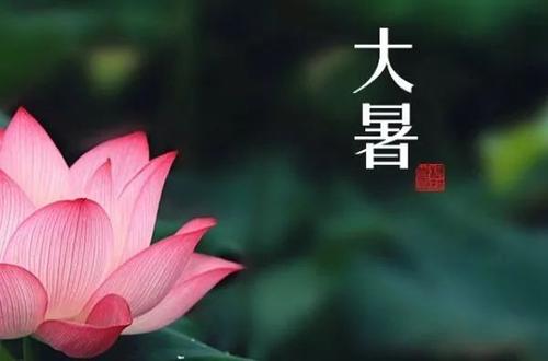 大暑節氣祝福語大全