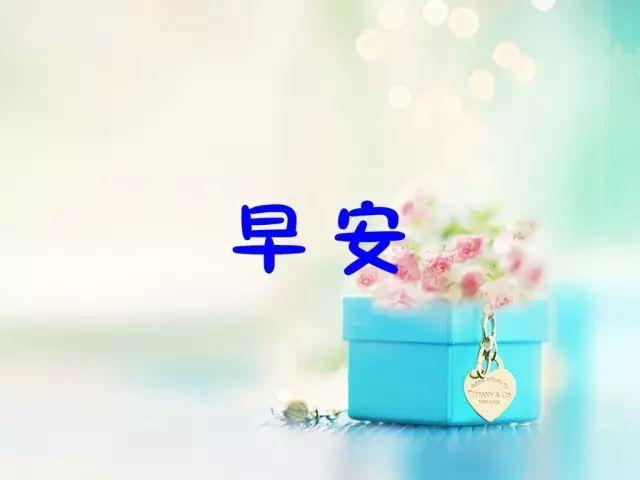 適合早上發的每日晨語發朋友圈早安正能量短句