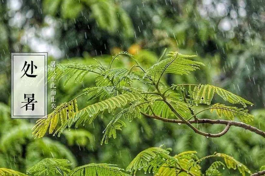 處暑節(jié)氣祝福語說說句子 發(fā)朋友圈的處暑祝福問候語