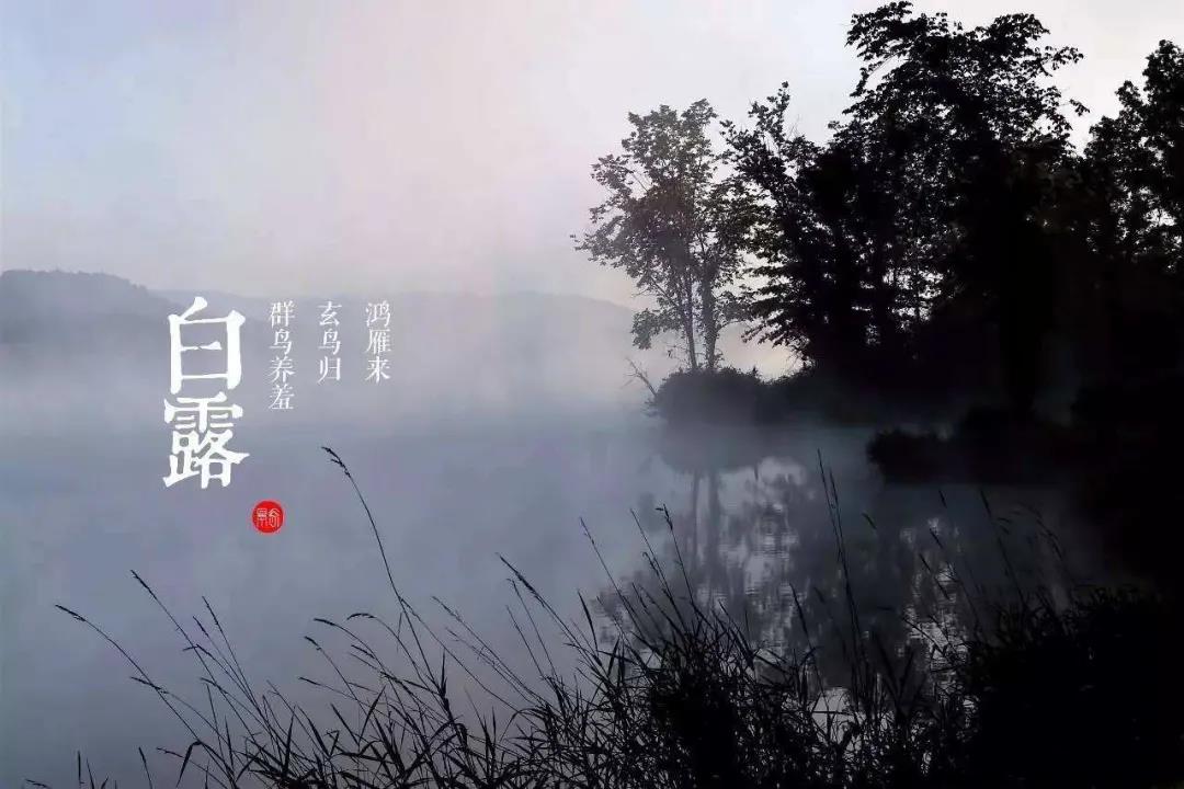 白露節(jié)氣快樂(lè)祝福語(yǔ)